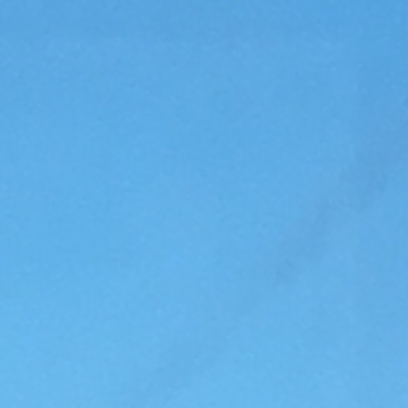 Meet your Posher, Gracie - Picture 1 of 1